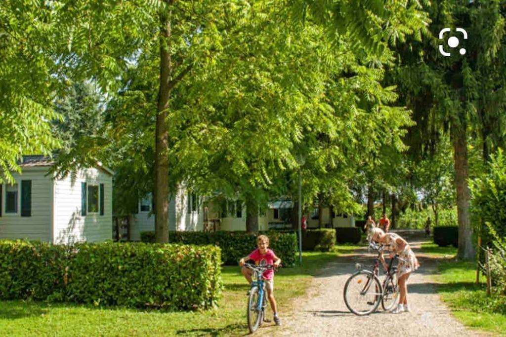Boofzheim Location Mh Situee A 15 Mn D Europa Park Et Rulantika 아파트 외부 사진