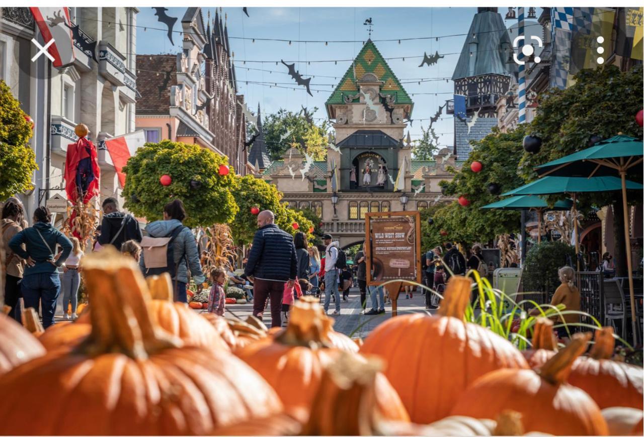 Boofzheim Location Mh Situee A 15 Mn D Europa Park Et Rulantika 아파트 외부 사진